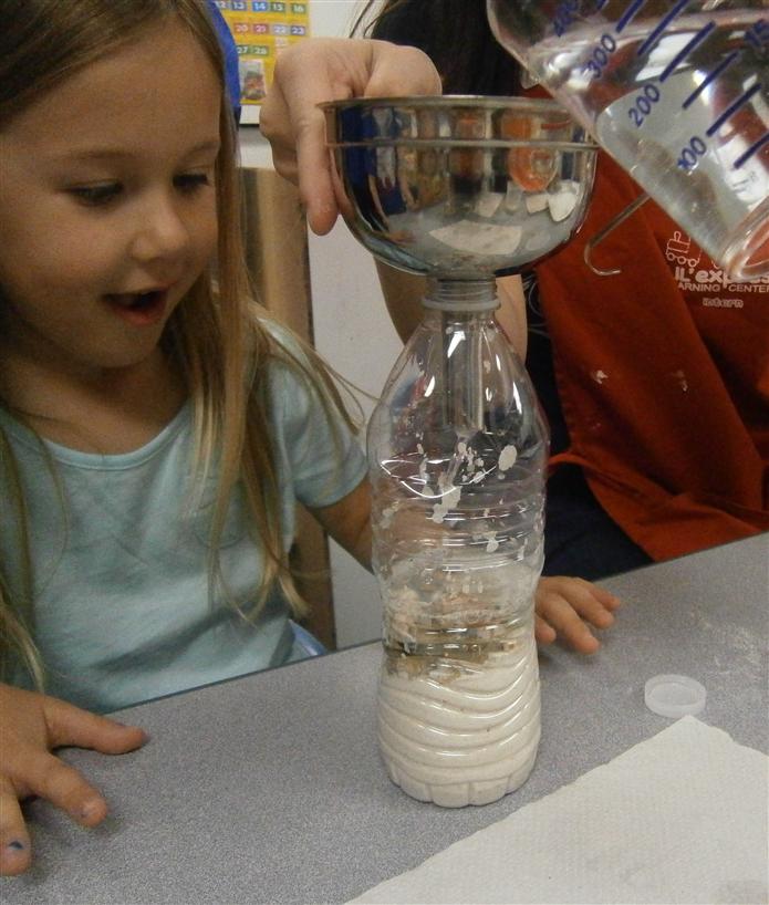 stem pic stem pic